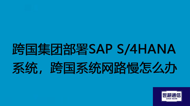 跨国集团部署SAP S/4HANA系统，跨国系统网路慢怎么办？？？//SAP S/4HANA系统全球专网