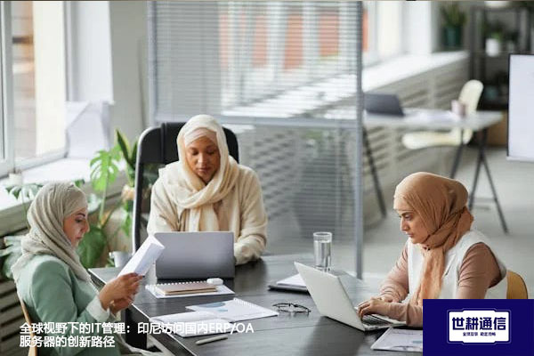 全球视野下的IT管理：印尼访问国内ERP/OA服务器的创新路径？？？解决方案//shigengtelecom 全球专网