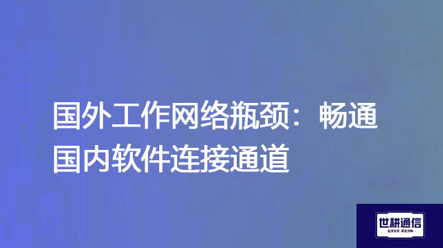 国外工作网络瓶颈：畅通国内软件连接通道？？？解决方案//shigengtelecom 全球专网