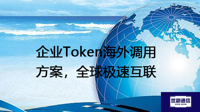 企业Token海外调用方案，全球极速互联？？？解决方案//shigengtelecom 全球专网